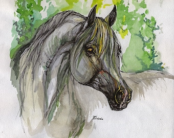 Grey arabian horse, equine art, equestrian, horse portrait,  original pen and watercolor painting