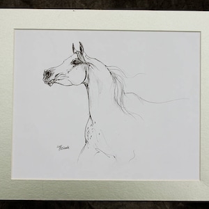 Arabian horse, equine art, horse portrait, equestrian, original pen drawing image 3