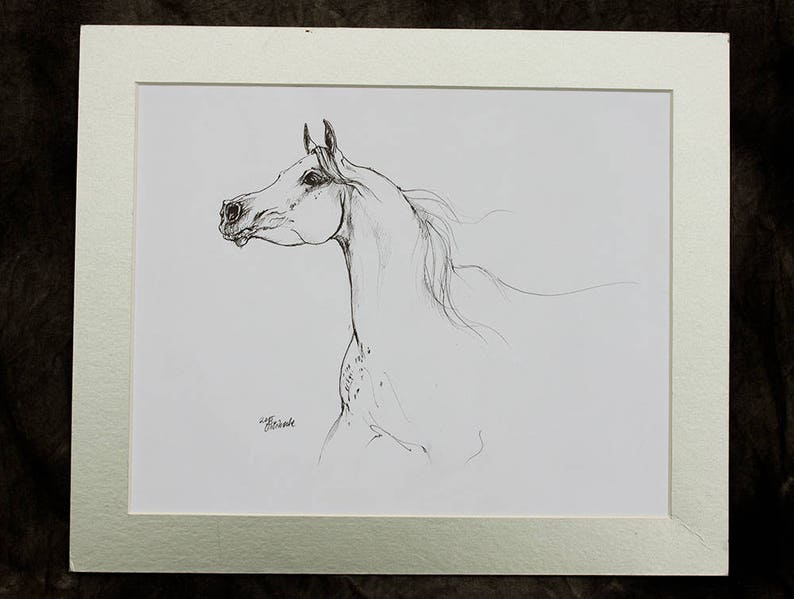 Arabian horse, equine art, horse portrait, equestrian, original pen drawing image 3