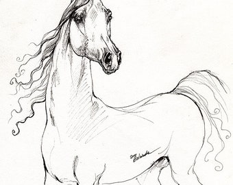 Arabian horse, equine art, horse portrait,  original pen drawing on paper