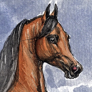 Bay arabian horse, equine art, horse portrait, equestrian, original pen and watercolor painting image 2