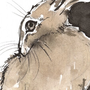 Grooming hare, rabbit, bunny, original ink painting on paper image 2