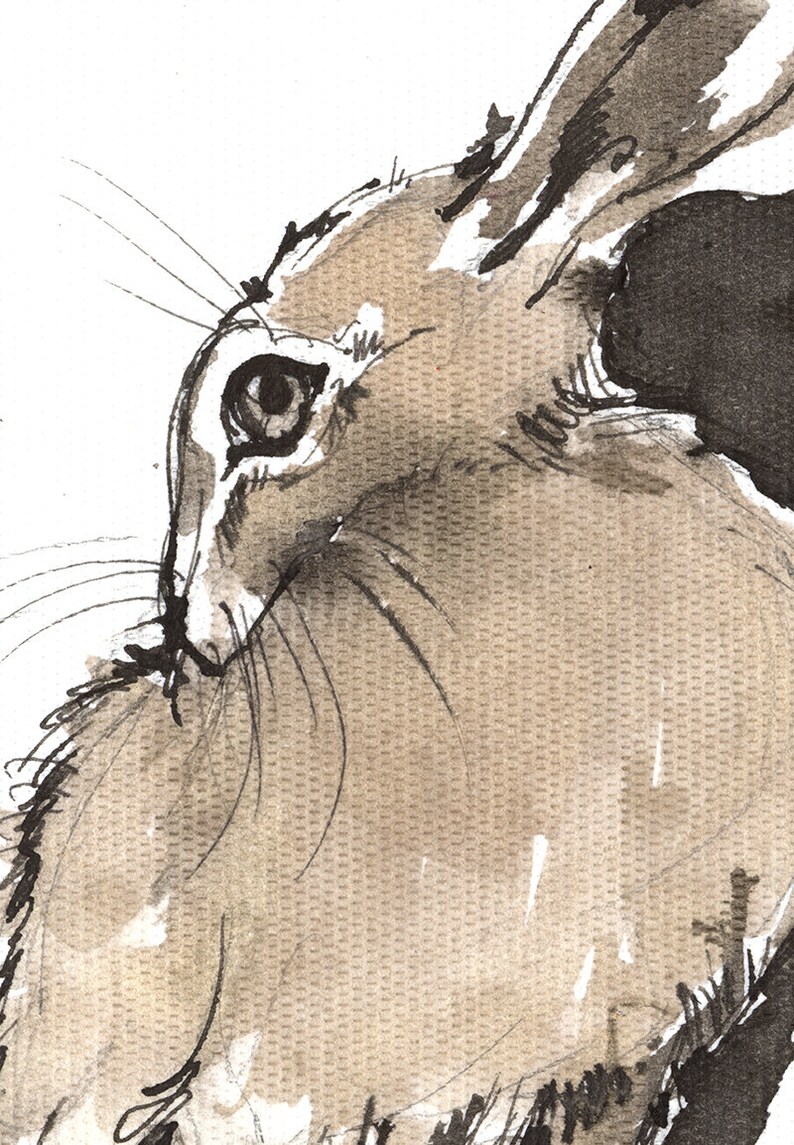 Grooming hare, rabbit, bunny, original ink painting on paper image 2