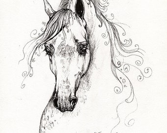 Portrait de cheval arabe, art équine, dessin original de stylo