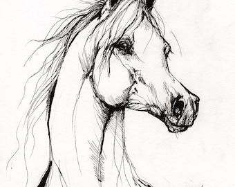 Arabian horse, horse art, equine, equestrian portrait,  original pen drawing