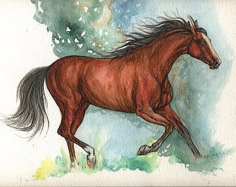 Bay horse original watercolor painting