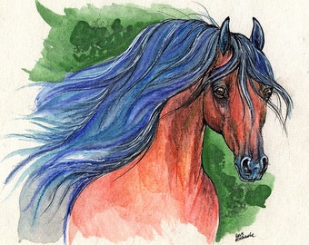 Bay arabian horse, equine art, equestrian portrait,  original pen and watercolor  painting