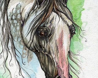 Piber polish arabian horse watercolor painting