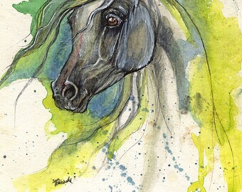 Grey arabian horse, equine art, equestrian portrait,  original pen and watercolor painting