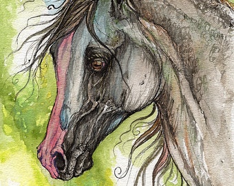 Piber polish arabian horse watercolor painting