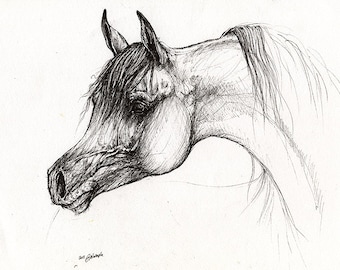 Arabian horse, horse art, equine, equestrian portrait, original pen drawing