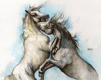 Fighting andalusian horses, equine art, horse, equestrian, original pen, watercolor and guache painting on paper