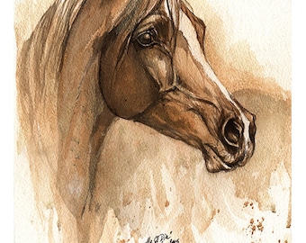 Ala el Din - original watercolour painting of an arabian horse