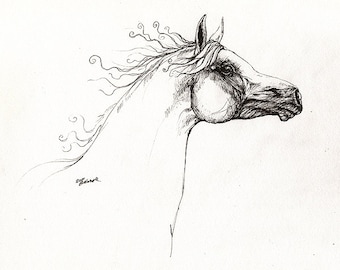 The arabian horse portrait pen drawing