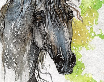 Piaff polish arabian stallion watercolor painting