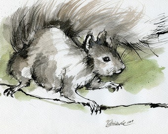 Grey squirrell, original ink painting on paper