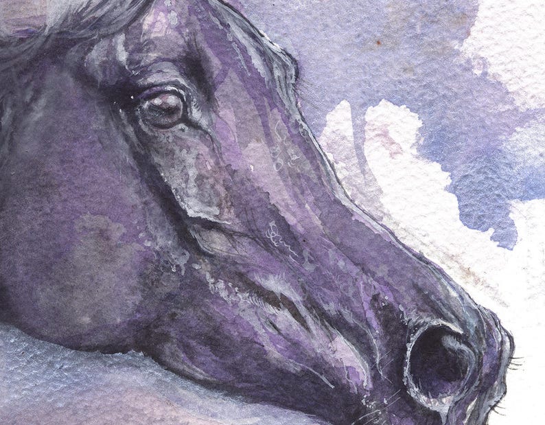 Black horse, equine art, horse portrait, cheval, equestrian, original watercolor painting image 2