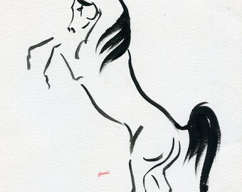 Arabian horse, equine art, original ink drawing