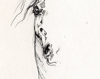 Arabian horse original pen drawing