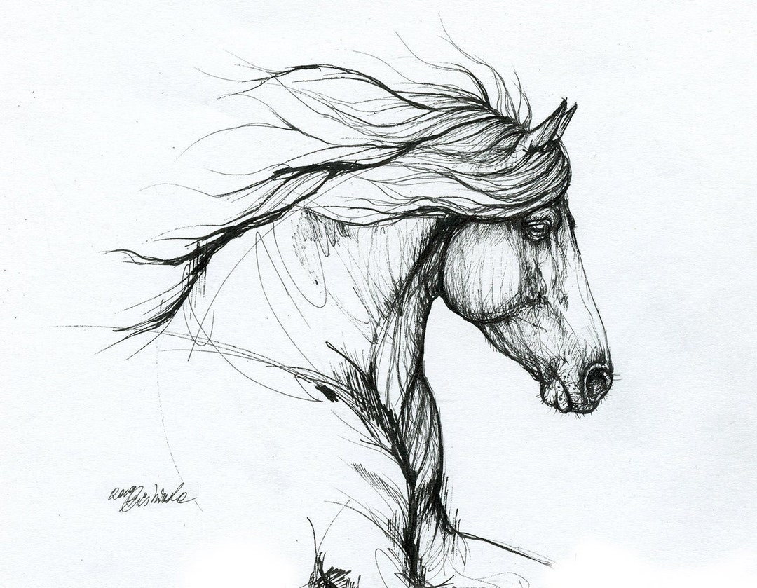 Friesian Horse Equine Art Original Pen Drawing on Paper