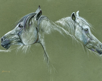 Grooming arabian mares, equine art, original soft pastel drawing