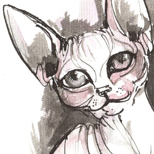 Sphynx kitten feline art original ink drawing on paper | Etsy