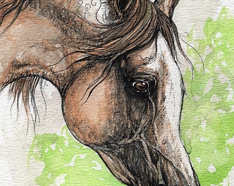 the  arabian horse watercolor painting