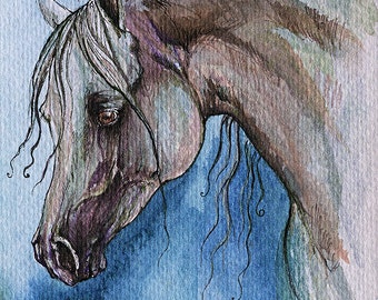 Grey arabian horse watercolor painting