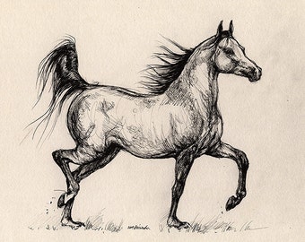 Running bay arabian mare, horse portrait, equine art, equestrian,  original pen drawing