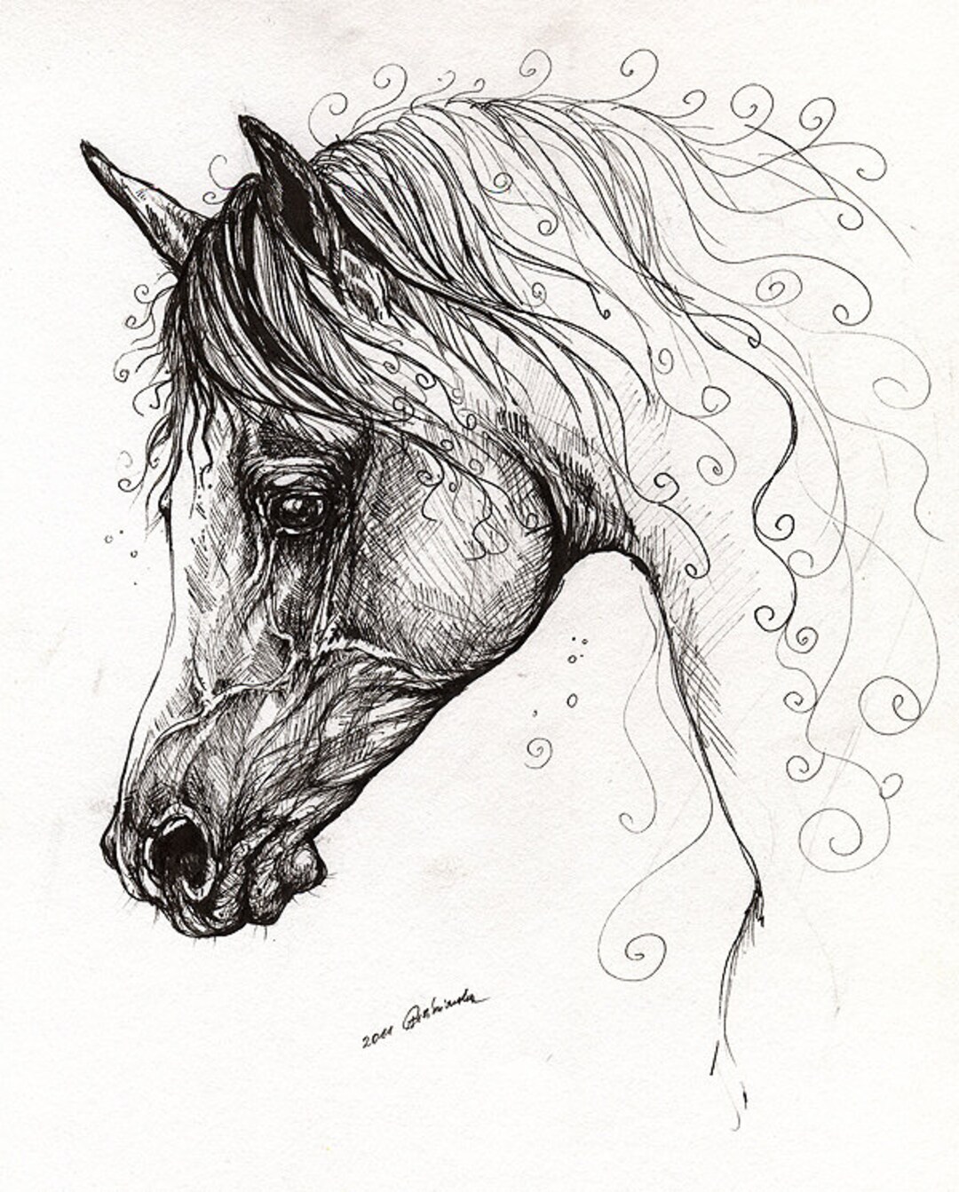 The Arabian Horse Portrait Pen Drawing - Etsy