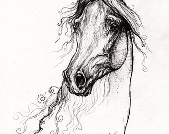 Arabian horse portrait, equine art, original pen drawing