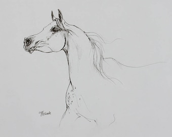 Arabian horse, equine art, horse portrait, equestrian, original pen drawing