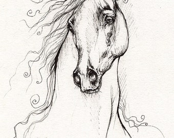 Arabian horse, equine art, equestrian portrait,  original pen drawing