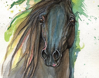 Black arabian horse, equine art, equestrian, horse  portrait,  original ink and watercolor painting