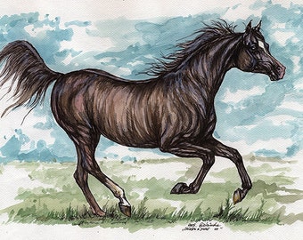 the  arabian horse watercolor painting