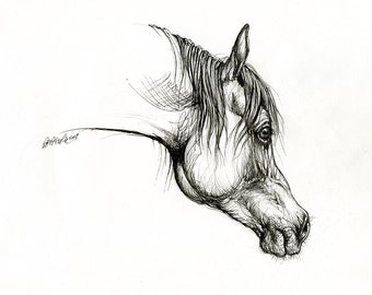 Cheval arabe, art équine, dessin original de stylo sur le papier