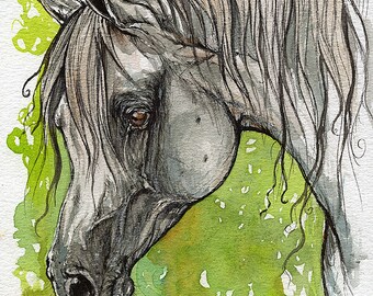 Emanda polish arabian horse watercolor painting