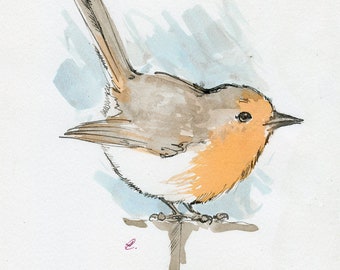 Robin, wild bird, original ink painting on paper