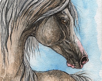 the grey arabian horse watercolor painting