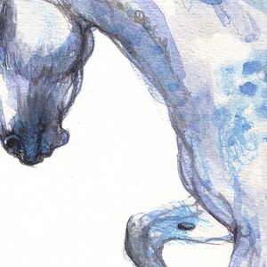 Andalusian horse, equine art, equestrian, cheval, horse portrait, original watercolor painting image 4