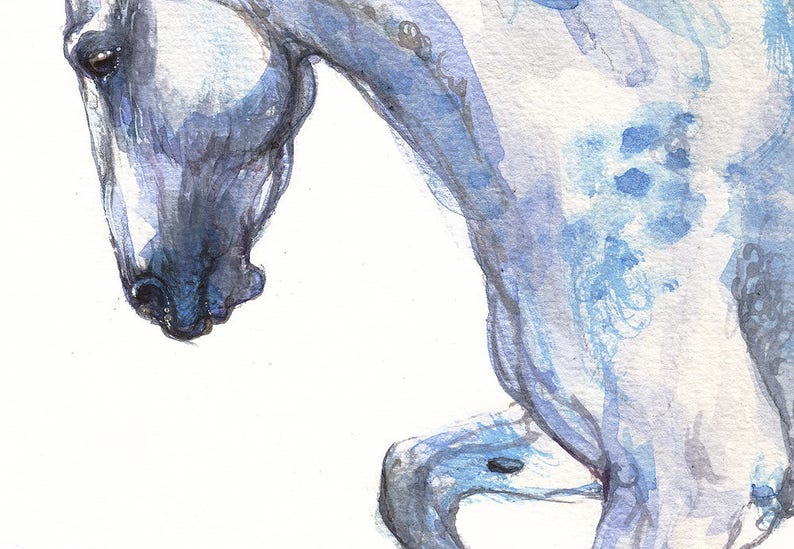 Andalusian horse, equine art, equestrian, cheval, horse portrait, original watercolor painting image 4