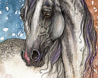 Grey arabian horse watercolor painting