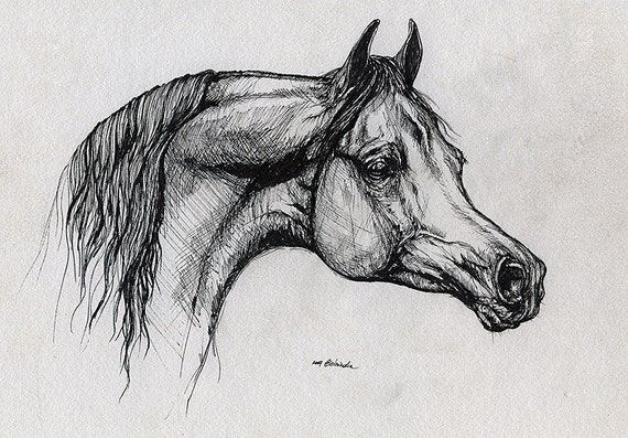 Baie De Cheval Pur Sang Arabe Art Equin Equestre Originale Etsy