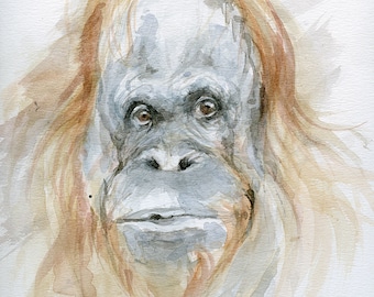 Big ape, oranghutan, original watercolor painting