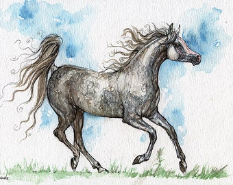 Running gray arabian mare, equine art, horse painting, equestrian,  ink and weatercolor original art