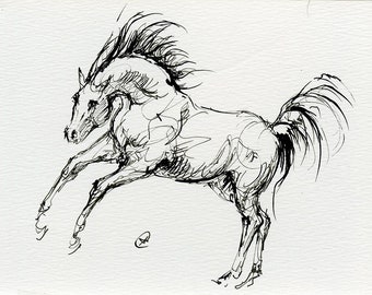 Horse art, original ink drawing on paper