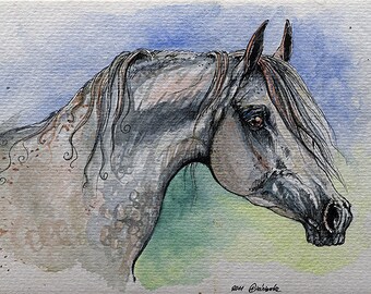 Grey arabian horse watercolor painting