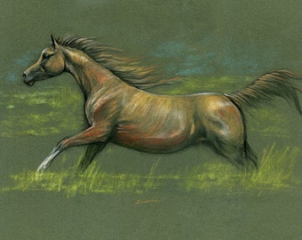 Running arabian mare, equine art, original soft pastel drawing