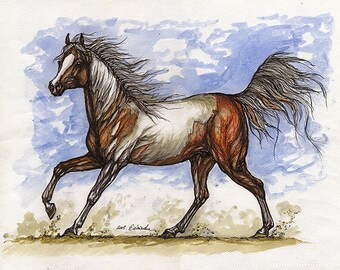 pinto horse, equine art, original watercolour painting