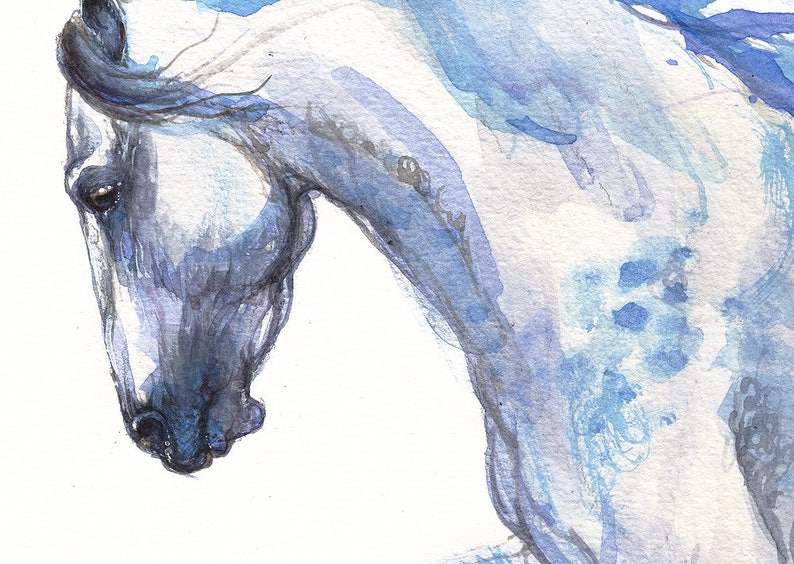 Andalusian horse, equine art, equestrian, cheval, horse portrait, original watercolor painting image 2
